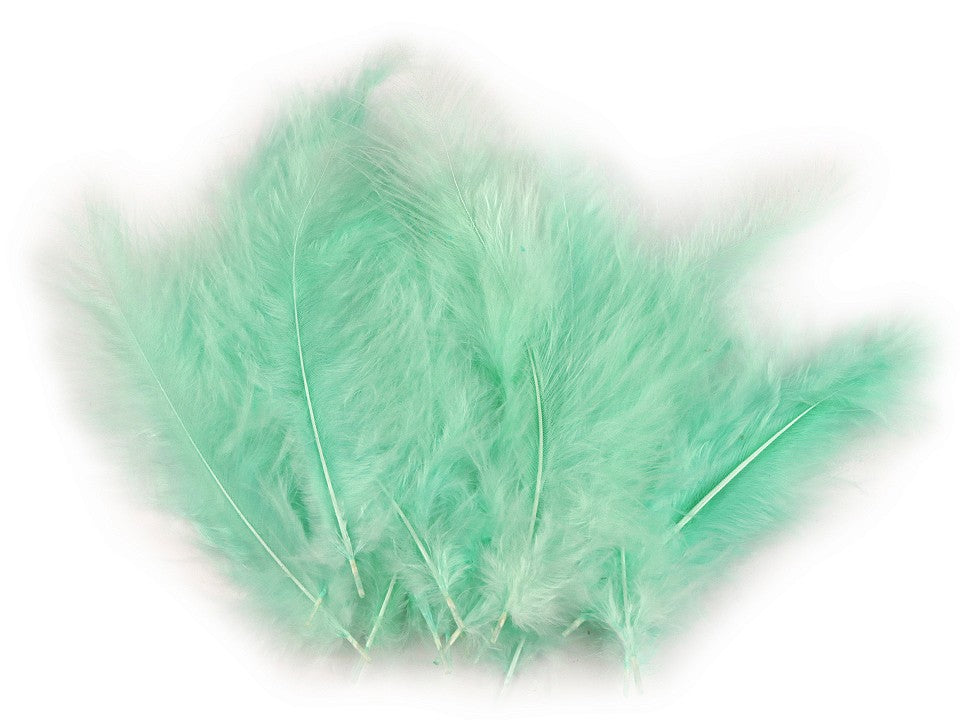 Pióra strusie - różne kolory